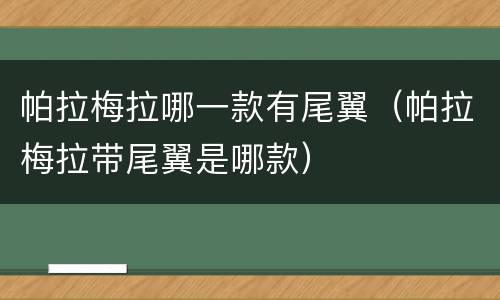 帕拉梅拉哪一款有尾翼（帕拉梅拉带尾翼是哪款）