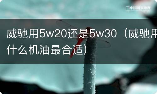 威驰用5w20还是5w30（威驰用什么机油最合适）