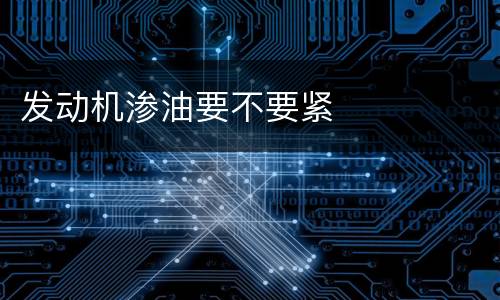 发动机渗油要不要紧