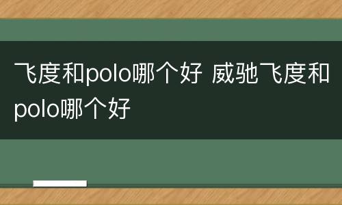飞度和polo哪个好 威驰飞度和polo哪个好