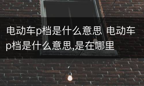 电动车p档是什么意思 电动车p档是什么意思,是在哪里