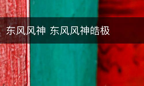 东风风神 东风风神皓极