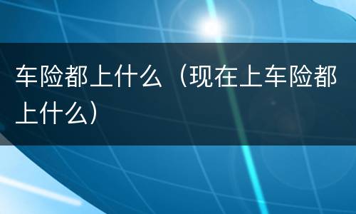 车险都上什么（现在上车险都上什么）