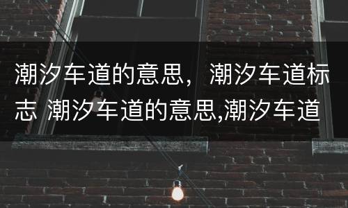 潮汐车道的意思，潮汐车道标志 潮汐车道的意思,潮汐车道标志是什么