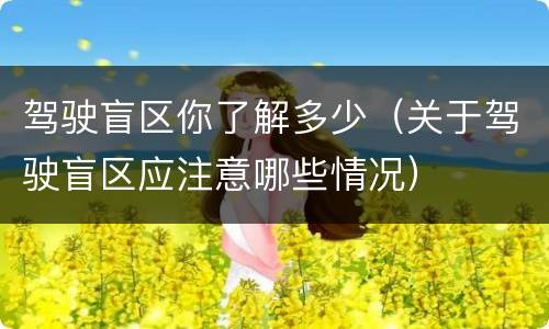 驾驶盲区你了解多少（关于驾驶盲区应注意哪些情况）