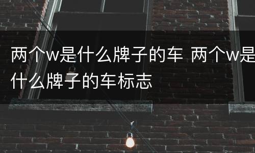 两个w是什么牌子的车 两个w是什么牌子的车标志