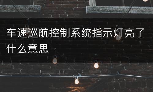 车速巡航控制系统指示灯亮了什么意思