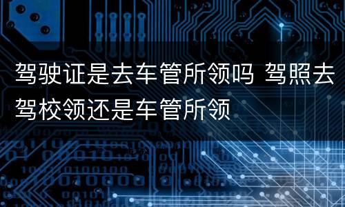 驾驶证是去车管所领吗 驾照去驾校领还是车管所领