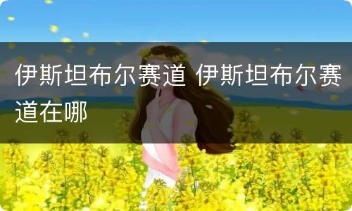 伊斯坦布尔赛道 伊斯坦布尔赛道在哪
