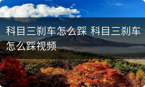 科目三刹车怎么踩 科目三刹车怎么踩视频
