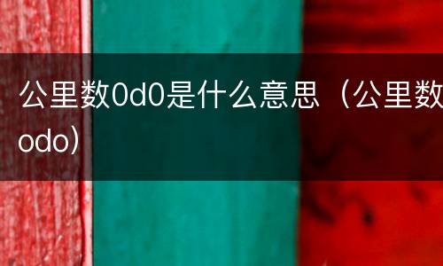 公里数0d0是什么意思（公里数odo）
