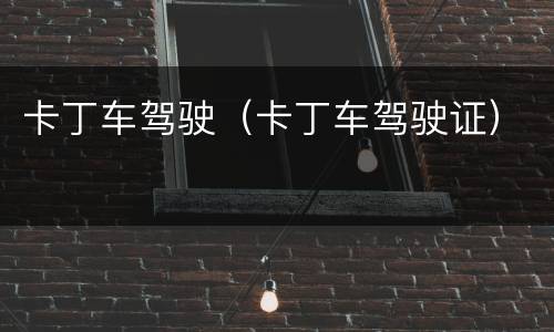 卡丁车驾驶（卡丁车驾驶证）