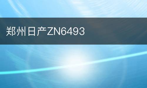 郑州日产ZN6493
