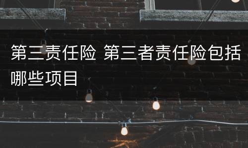 第三责任险 第三者责任险包括哪些项目