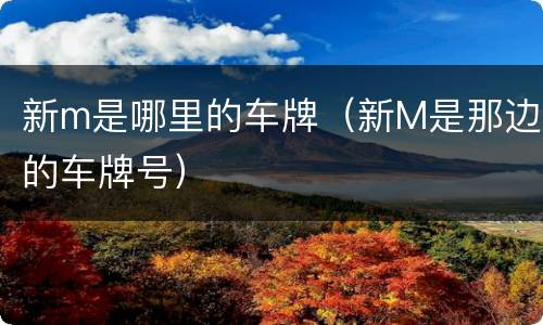 新m是哪里的车牌（新M是那边的车牌号）