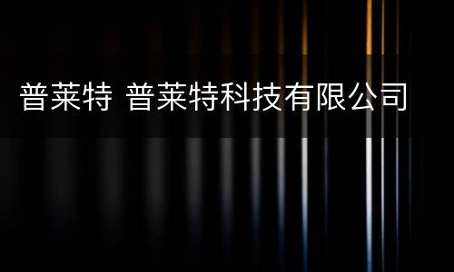 普莱特 普莱特科技有限公司