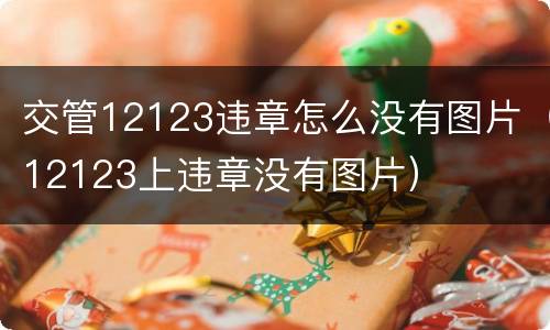 交管12123违章怎么没有图片（12123上违章没有图片）