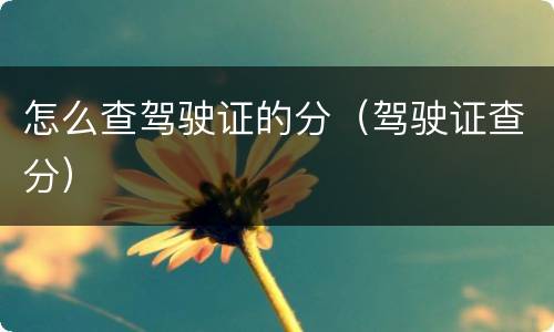 怎么查驾驶证的分（驾驶证查分）