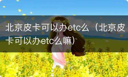 北京皮卡可以办etc么（北京皮卡可以办etc么嘛）