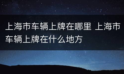 上海市车辆上牌在哪里 上海市车辆上牌在什么地方