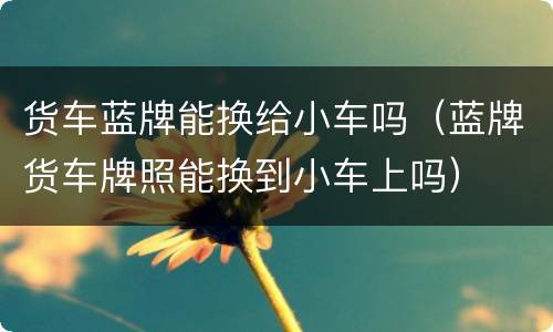 货车蓝牌能换给小车吗（蓝牌货车牌照能换到小车上吗）