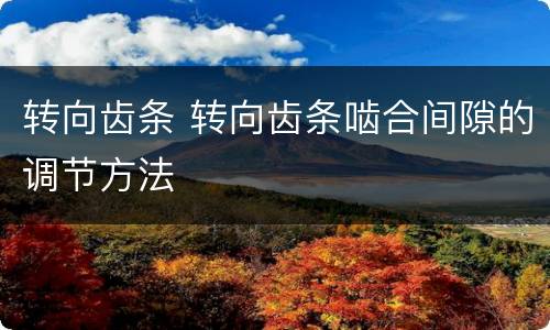 转向齿条 转向齿条啮合间隙的调节方法
