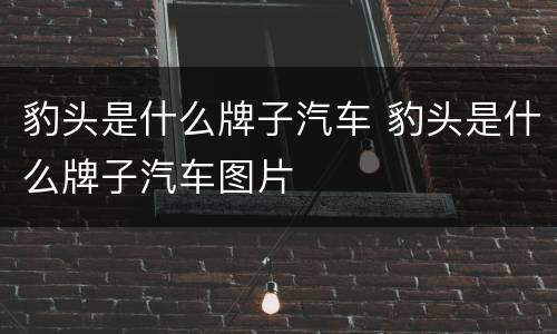 豹头是什么牌子汽车 豹头是什么牌子汽车图片