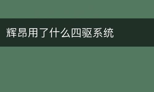 辉昂用了什么四驱系统