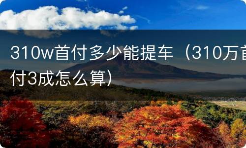 310w首付多少能提车（310万首付3成怎么算）