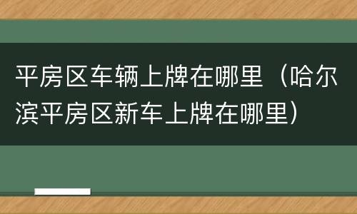 平房区车辆上牌在哪里（哈尔滨平房区新车上牌在哪里）