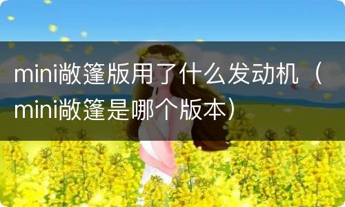 mini敞篷版用了什么发动机（mini敞篷是哪个版本）