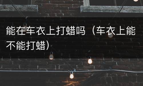 能在车衣上打蜡吗（车衣上能不能打蜡）
