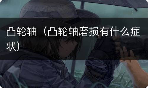 凸轮轴（凸轮轴磨损有什么症状）