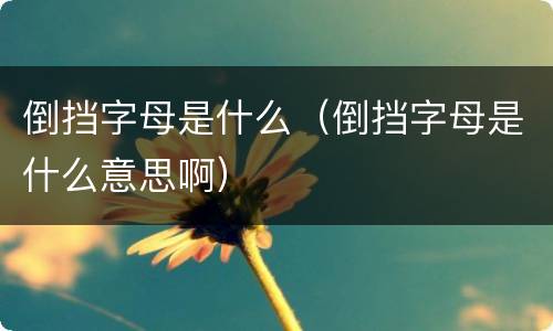 倒挡字母是什么（倒挡字母是什么意思啊）