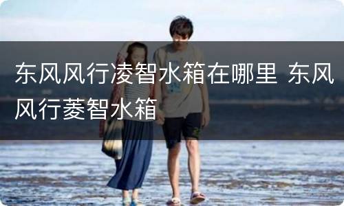 东风风行凌智水箱在哪里 东风风行菱智水箱