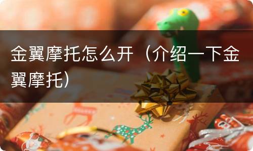 金翼摩托怎么开（介绍一下金翼摩托）
