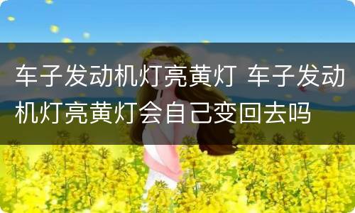 车子发动机灯亮黄灯 车子发动机灯亮黄灯会自己变回去吗