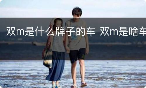 双m是什么牌子的车 双m是啥车