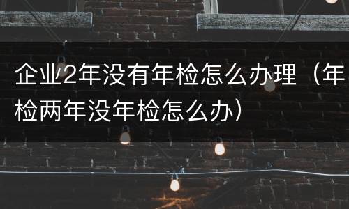 企业2年没有年检怎么办理（年检两年没年检怎么办）