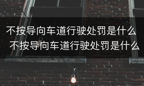 不按导向车道行驶处罚是什么 不按导向车道行驶处罚是什么情况