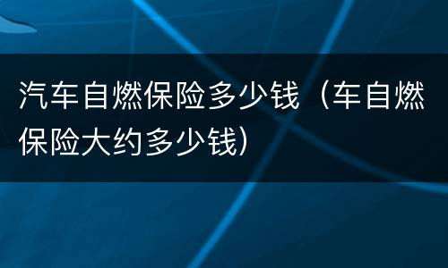 汽车自燃保险多少钱（车自燃保险大约多少钱）