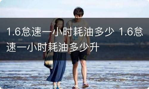 1.6怠速一小时耗油多少 1.6怠速一小时耗油多少升