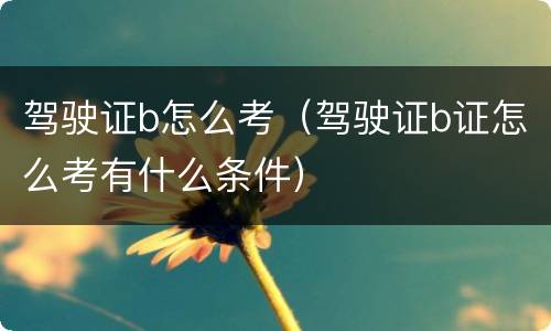 驾驶证b怎么考（驾驶证b证怎么考有什么条件）