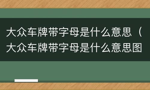 大众车牌带字母是什么意思（大众车牌带字母是什么意思图片）