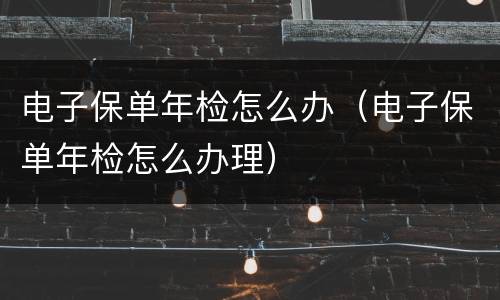 电子保单年检怎么办（电子保单年检怎么办理）