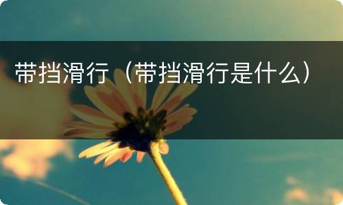 带挡滑行（带挡滑行是什么）
