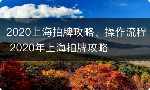 2020上海拍牌攻略、操作流程 2020年上海拍牌攻略