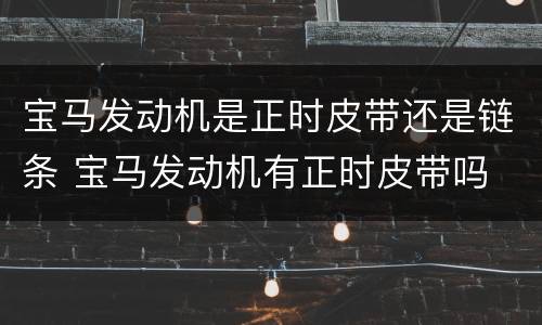 宝马发动机是正时皮带还是链条 宝马发动机有正时皮带吗