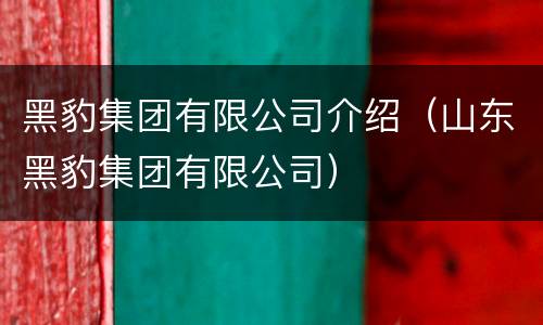 黑豹集团有限公司介绍（山东黑豹集团有限公司）