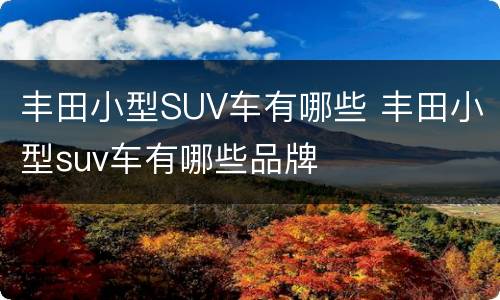丰田小型SUV车有哪些 丰田小型suv车有哪些品牌